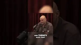 Joe Rogan on Open Borders: America's Immigration Challenge #podcast #jre #politics #joerogan #clips