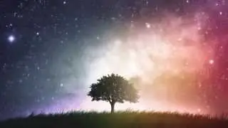 Welcome to Numerologist.com