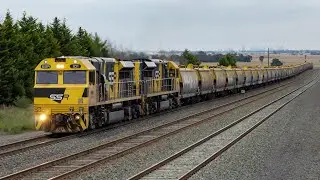Pacific National/SSR&rsquo;s MC hauled freight trains! (Featuring SSR101/SSR102)
