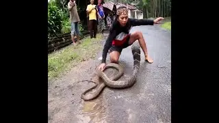 Oh my God !!!Amazing Catch Snake By Hand Beautiful Girl
