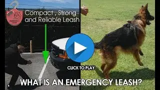 Emergency Leash - New Patended Pet Safety Invention
