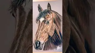 eerste paarden tekening🐎🔥 #tekenen #kunst #dierportret #petportrait #tekening #paarden