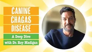Canine Chagas Disease | Transmission, Symptoms, Tests, & Treatment