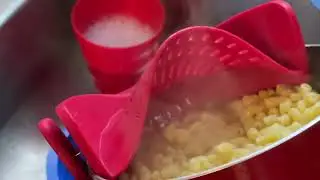 Kitchen Gizmo Snap N Strain Pot Strainer and Pasta Strainer