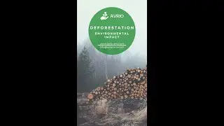 Deforestation | AVRIO Environmental Management