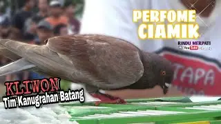BEST PERFOME KLIWON ;SANG JAWARA 2 PRALOMBA 2 LAPKOL WANGKAL CITY PEMALANG