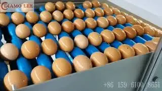 China egg breaking and separating liquid egg processing machine