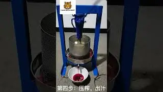 heavy duty cold press squeezer machine cassava turmeric ginger fruit juicer juice extractor