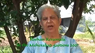 Roshan Kerawala in the Meherabad gardens 2007