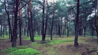 Stas Drive - Suffused Diary Frisky Radio March 2014