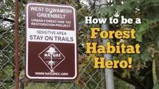 Volunteer with Nature Consortium