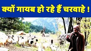 Life in India&rsquo;s Most Remote Place | Himalayan Nomads Village Life | Nepal Village Life During Winter