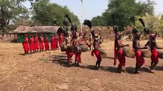 Bison Horn Maria Dance, Bastar, Chhattisgarh