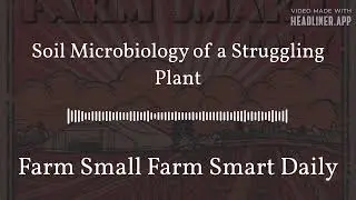 Soil Microbiology of a Struggling Plant | Farm Small Farm Smart Daily