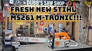 New Stihl MS261 M-Tronic!!!! 50cc SawFest Racer.