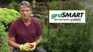 groSMART Garden Soil Analysis