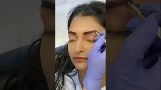 204. Kereshmah Lavish Brows
