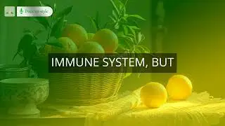 Did You Know Citrus Fruits Are High in Vitamin C