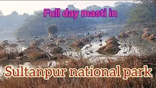 SULTANPUR NATIONAL PARK // A FULL DAY MASTI