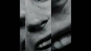 plantcham // experimental type beat - 