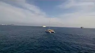 ALGAMECA&acute;S SUMMER