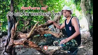 กว่าจะเป็นบอนไซ