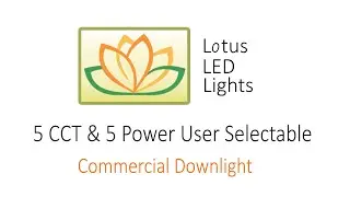 5 CCT & 5 Power User Selectable Commercial Downlight by Lotus LED Lights