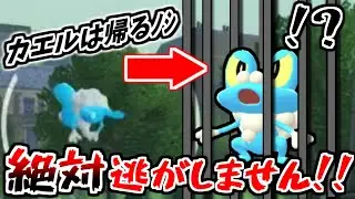 【レジェンズZA】ケロマツに逃げられる方必見！この方法なら逃げられずに簡単にケロマツを捕獲出来ます！！