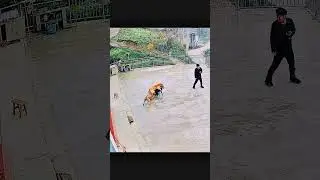 #animals #dog #omg #shortvideo #funny #puppy