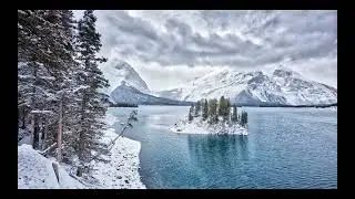 Peaceful Spring Birds And Thunder Sound for Sleep & Relaxing