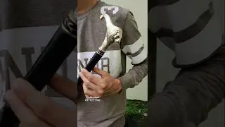 Royal Lion Head Walking Stick 🔥 Stylish Wooden Stick with Golden Handle | Hyderabad Special