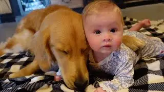 MY PUPPY LOVES TO CUDDLE WITH BABY (so cute!!)