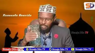 wlala subscripta no saara
