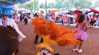 CARNAVAL SAN MARCOS CONTLA 2025 TLAXCALA TIERRA DE LEONES