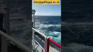 Wild pacific #merchantnavy #sea #roughseas #pacific #travel #adventure #lifeatsea