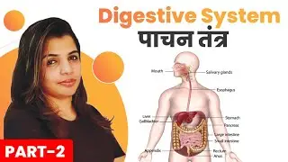 Digestive system (पाचन तंत्र) Class-2 | Biology Live Class By Priya Ma'am