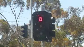 Special 'B for Bus' Signals