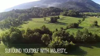 Things To Do in Wears Valley | Friendly Falls | Picnic in the Smokies