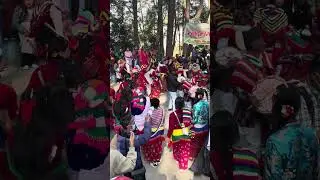 #sakela #subscribe #highlights #nature #keepsupporting #keeploving #peace