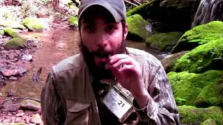 Allegheny Brook Trout Chronicles Preview