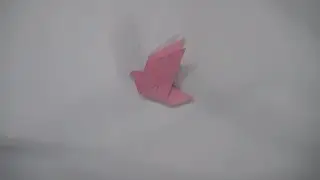 Pigeon Origami