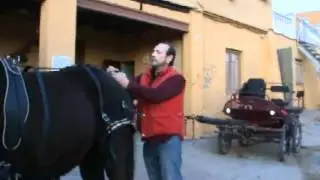 Colocación de las guarniciones de tronco.wmv