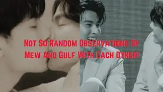 Not So Random Observations Of Mew And Gulf With Each Other!