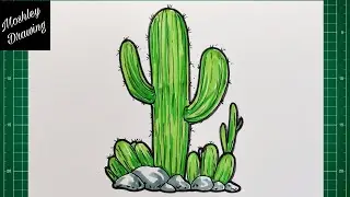 How to Draw a Cactus - Plants Drawing Tutorial