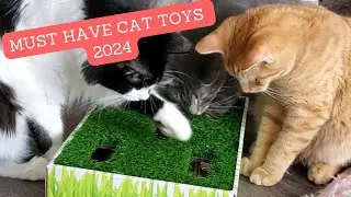 Best Interactive Cat Toys of 2024!