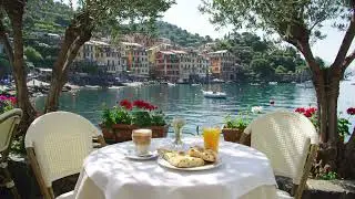 Positive Jazz Vibes 🎵 Instrumental Bossa Nova for to Help You Find Your Creative Sanctuary