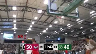 Paul Zipser NBA G League Highlights: January 2018