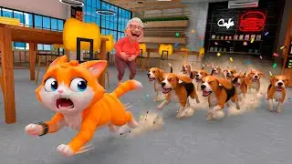 GATINHO ENFRENTOU UM EXÉRCITO DE CACHORROS NO I AM CAT