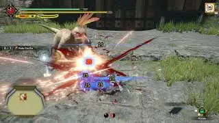 Monster Hunter Rise - Arena Quest 01 S-Rank Long Sword