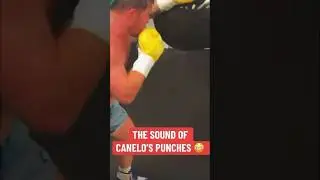 EXPLAINED! Canelo WORKING on His IMPRESSIVE  Power Training on the Water Bag